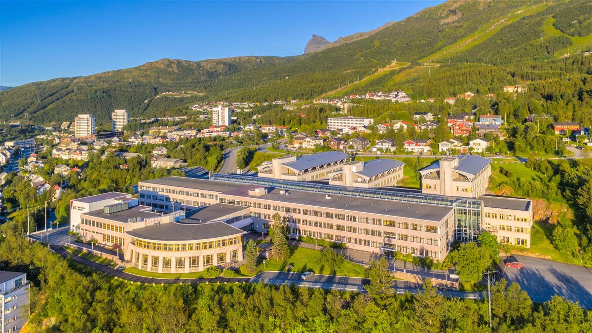 Luftfoto av UiT Campus Narvik, tatt en sommerdag i retning oppover. - Klikk for stort bilde